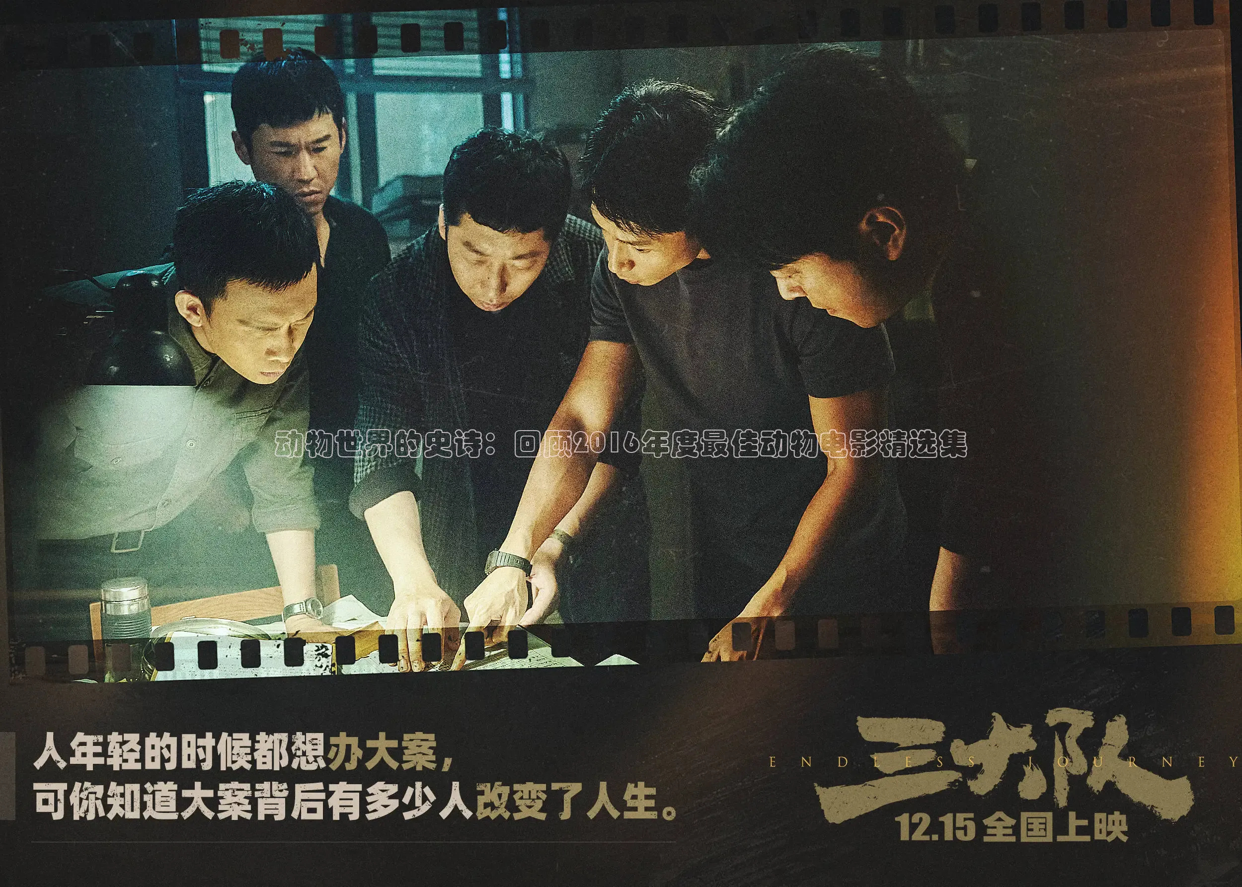 动物世界的史诗：回顾2016年度最佳动物电影精选集